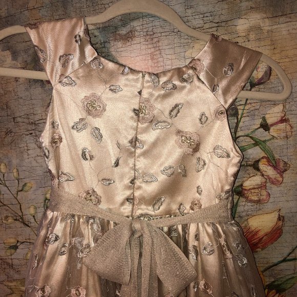 Sz 8 Jenny & Me Embroidered Floral Champagne Dress Flower Girl First Communion - Picture 9 of 15